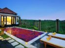 12 Villa Romantis di Bali dengan Private Pool