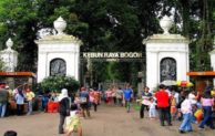10 Spot Menarik di Kebun Raya Bogor dan Harga Tiket Masuknya Yang Bisa Dikunjungi